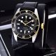 Clone Tudor Heritage Black Bay Watches Two Tone Leather Strap (6)_th.jpg